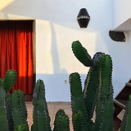 Casa de Férias Casa Lupe. Art-inspired Courtyard House In Teguise (Lanzarote)